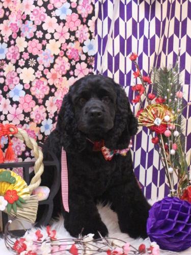 20250130天ちゃん